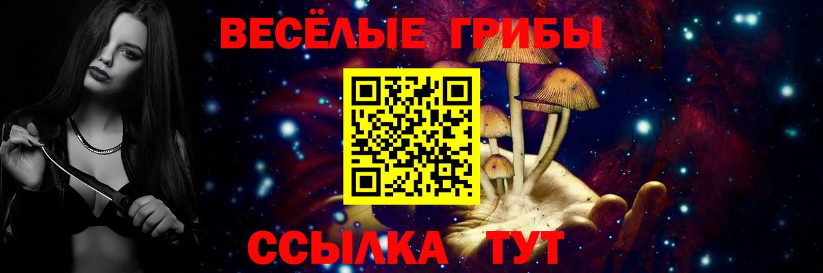 Сегежа  Псилоцибиновые грибы ЛСД  Галлюциногенные грибы Psilocybe  Вход с VPN 
